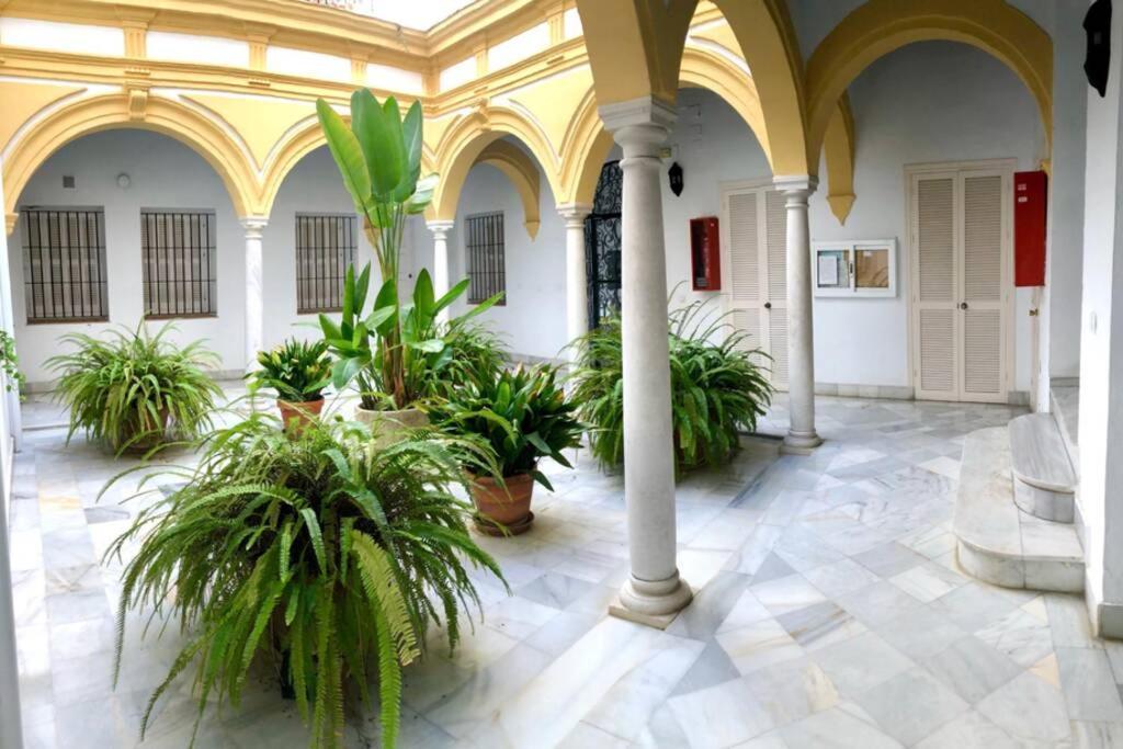 Gatu Villa Palma, Aire Acc Y Confort En El Centro Historico, " Preferente Mayores De 25 Anos Y Familias " El Puerto de Santa Maria Luaran gambar